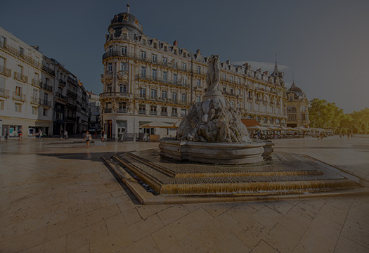 L'ESG LUXE à Montpellier