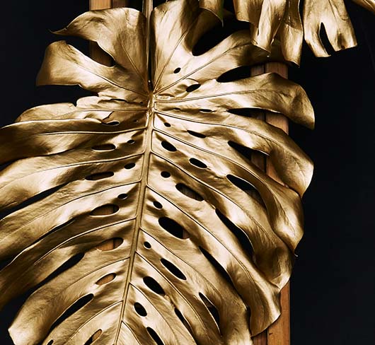 mastere design ESG LUXE
